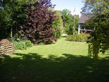lawn, hazelnut, rosebed, lawn and leisure residence Ferienhaus Tilling